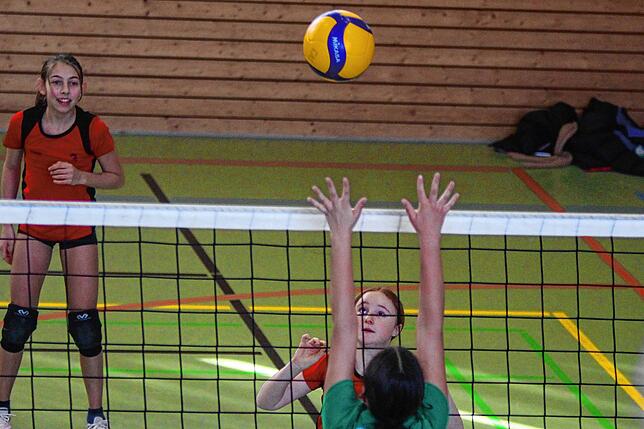 Bild 23: U14-Volleyballerinnen qualifizieren sich für baden-württembergische Meisterschaften