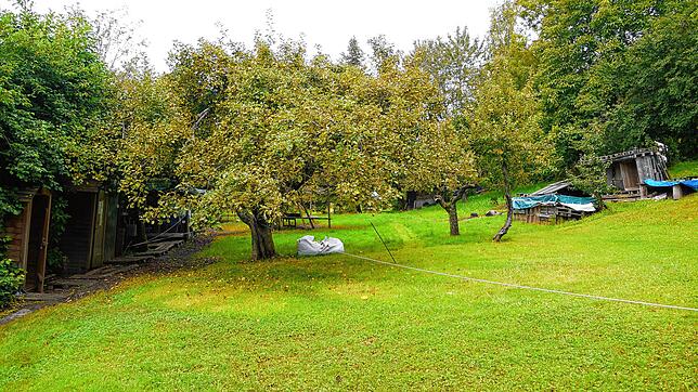 Die obere Wiese des Naturcampingplatzes steht hinter dem Absperrband momentan unter Wasser.