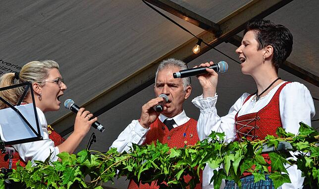 Bild 41: Feierabendhock beim Bermatinger Dorffest: Die schönsten Bilder