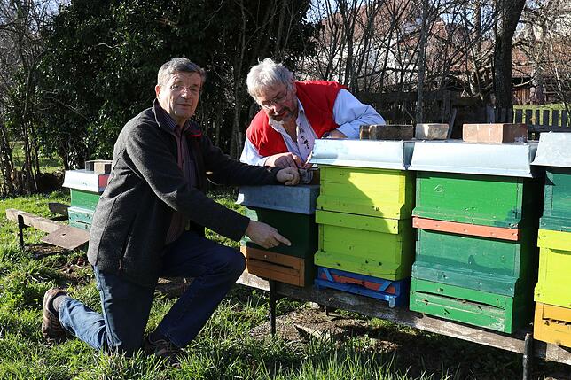 Das Gesumme am Bienenstand in Bonndorf ist groß. Max Nägele (links) und der Vorsitzende des Imkervereins, Siegmund Hirt, freut das. ...