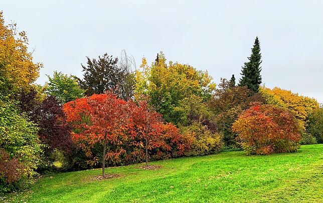 Bild 23: So schön ist der Herbst im Schwarzwald und auf der Baar