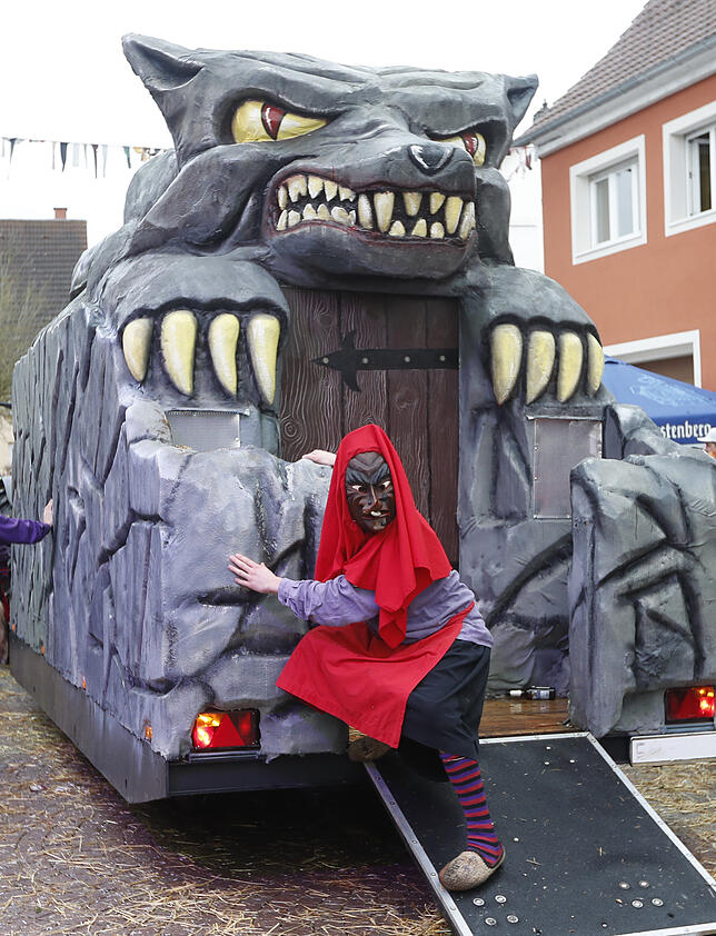 Bild 19: Bilder zum großen Narrentreffen in Pfohren (4)