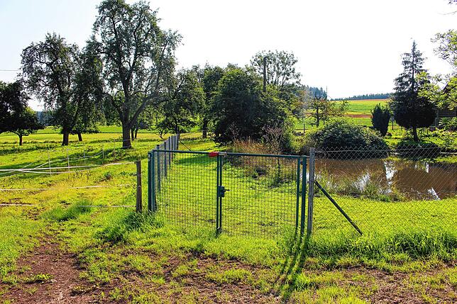 Links am Zaun vorbei soll später der offizielle Eingang des Bauernhof-Kindergartens werden. Der Weiher ist ringsum eingezäunt.