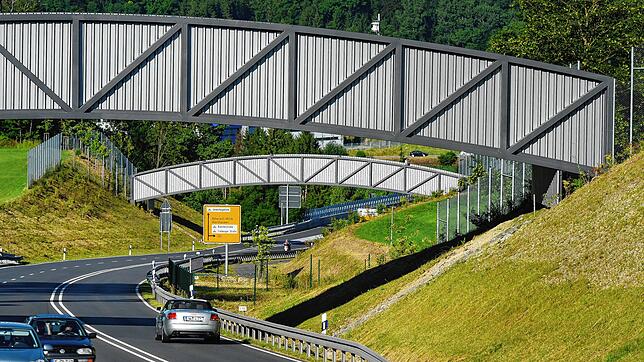 Zwei Fledermausbrücken stehen seit einigen Jahren bei Biberach an der Riß.