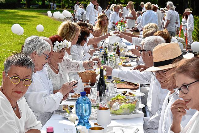 Bild 5: Französisches Picknick ganz in Weiß im Donaueschinger Schlosspark