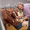 Martina Braun in ihrem Stall in Furtwangen. Sie ist Grünenpolitikerin &ndash; und Landwirtin.