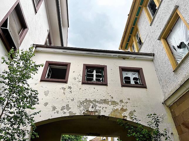 Auf dem Weg zum Haupteingang des Hauses Hohenbaden wachsen die Bäume schon meterhoch. 2004 wurde das Haus geschlossen.