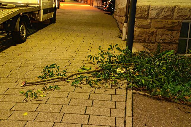 Ein abgebrochener Ast auf dem Gehweg in St. Georgen.