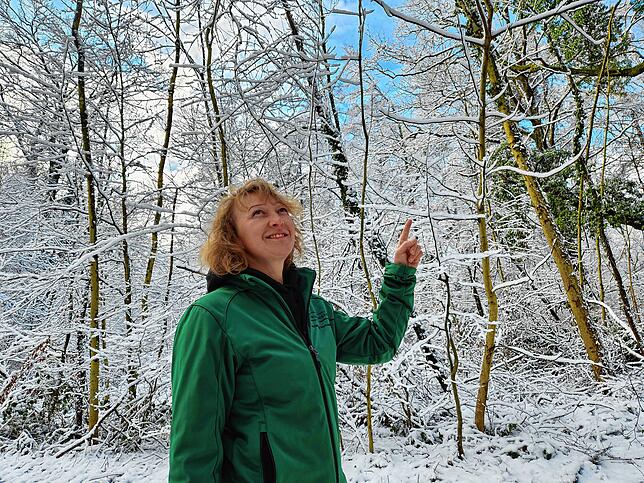 Im Winter muss Beer darauf achten, dass durch Schneelast umsturzgefährdete Bäume und Geäst entfernt werden, damit keine Passanten zu ...