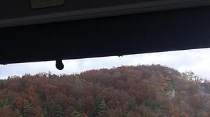 Da gehören zwei Esel einfach nicht hin. Jo Jansen lichtete die Graunasen auf ihrem Abenteuerausflug ab.