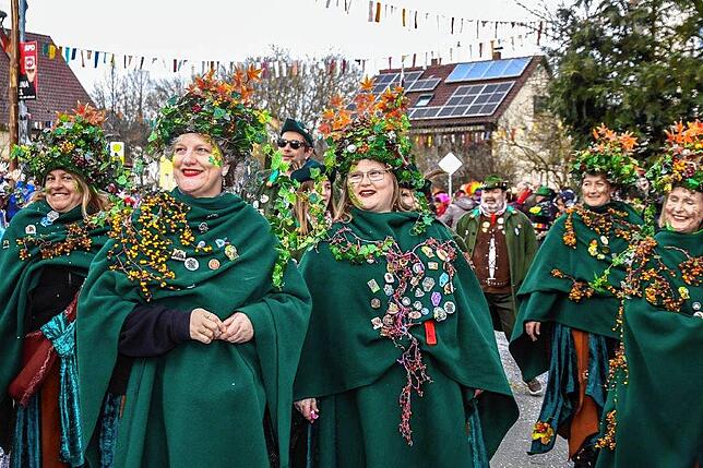 Bild 2: Narrenverein Heuliecher: Die besten Bilder aus dem Jubiläumsumzug
