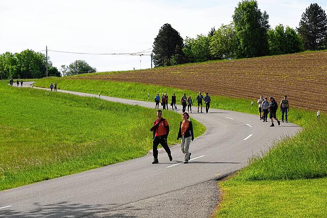 Bild 16: 180 Teilnehmer beim 42-Kilometer-Wandermarathon: Das sind die Bilder