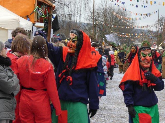 Bild 9: Teil 2: Bildergalerie zum Albbrucker Narrentreffen am 2. und 3. Februar 2019