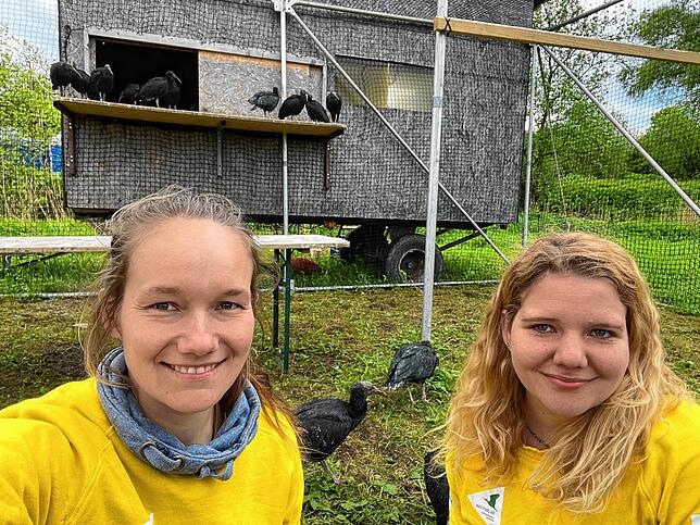 So nah dürfen nur die beiden Ziehmütter Barbara Steininger (links) und Helena Wehner den urzeitlich anmutenden Waldrapp-Küken kommen. Im ...