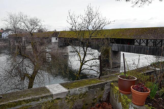 Selbst Untersetzer von Blumentöpfen sollten zum Schutz vor der Tigermücke täglich entleert werden – fließendes Gewässer wie der Rhein ...