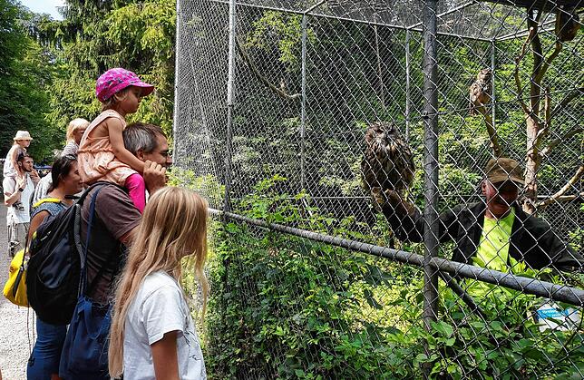 Bild 19: Alle Bilder: 50 Jahre Wildgehege Waldshut &ndash; Teil Eins