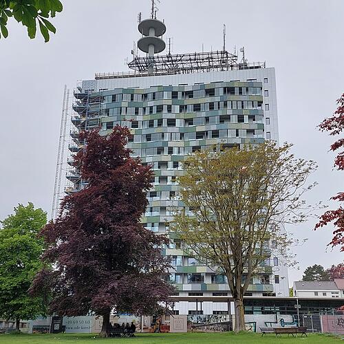 Bild :