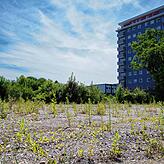 700 Wohnungen in mehreren Abschnitten geplant, umgesetzt. Für das Ravensberg-Areal gibt es noch eine unverwirklichte Planung mit 121 ...