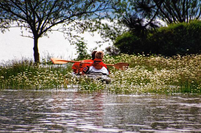 Bild 18: Gedächtnis der Region: Bilder vom Hochwasser 1999 in Bodman-Ludwigshafen