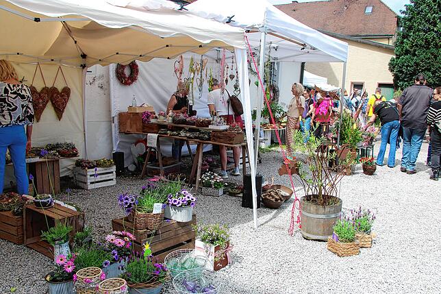 Bild 21: Sonnenschein und traumhaftes Ambiente beim Festival der Sinne