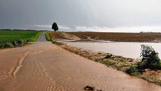 Oberflächenwasser läuft nach einem starken Gewitter von einem noch nicht bewachsenen Acker quer über einen Weg. Dabei erodiert der ...