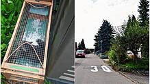 Etwa 30 streunende Katzen sind seit einigen Wochen in Daisendorf &ndash; rund um die Straßen Alpenblick und Am Gärtlesberg &ndash; ...