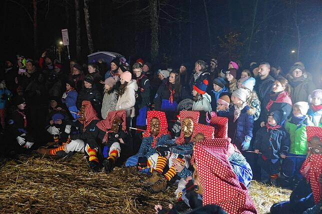 Bild 6: In Konstanz erwacht die Fasnacht 2025: Riedhexen und Schneeschreck tanzen durch den Wald