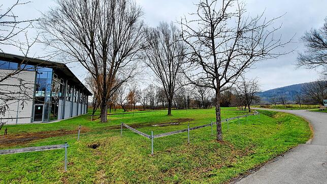 Auf dieser Fläche zwischen der Sporthalle Bodman und dem Weg ins Naturschutzgebiet Hangen soll eigentlich eine Outdoor-Sportanlage mit ...