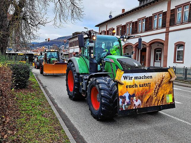 Bild 19: Protest der Landwirte &ndash; Bilder der Sternfahrt nach Horheim am Montag