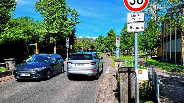An der Straße zum Haupteingang der Schlossschule in Gaienhofen gilt bereits Tempo 30 (Archivbild). Bald soll es mehr solcher Schilder geben.