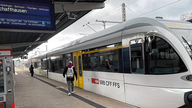 Die SBB kündigt Sonderzüge auf den Seehas- und Rhyhas-Strecken zur Fasnacht an.