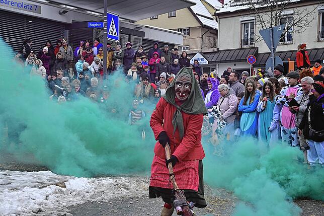 Bild 24: 75 Gruppen beim Fasnachtsumzug in St. Georgen: Wir haben die Bilder