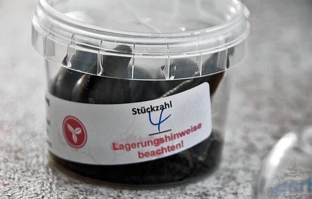 Nach der Mahlzeit ist in dem Becher, in dem die Blutegel geliefert werden, kaum noch Platz. Die Egel haben bis um das Fünffache zugelegt.