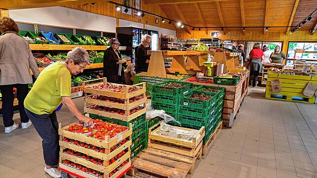 Nach dem Umbau präsentiert sich der Obstbauer Haller jetzt heller, das Angebot ist noch vielfältiger. Fotos: Roland Sprich