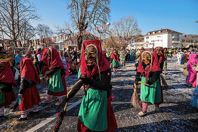 Bild 18: Unvergessliche Bilder vom Rosenmontagsumzug in Gottmadingen: So bunt war die Fasnacht 2025!