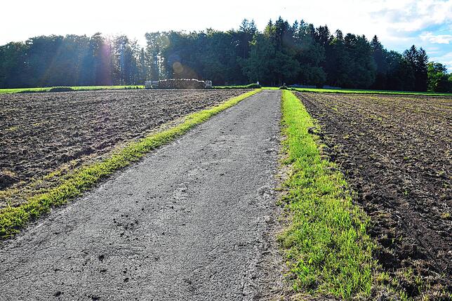 Die Befürworter des Bürgerwindrades auf dem Hoheneck weisen unter anderem darauf hin, dass für dessen Errichtung keine Waldrodung und ...
