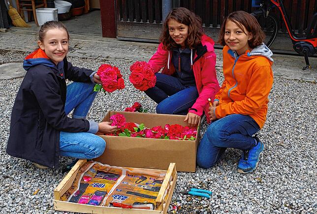 Lotta (links) und die Schwestern Clara und Frida (rechts) halfen beim Sortieren der Rosenblüten an der Birnau.