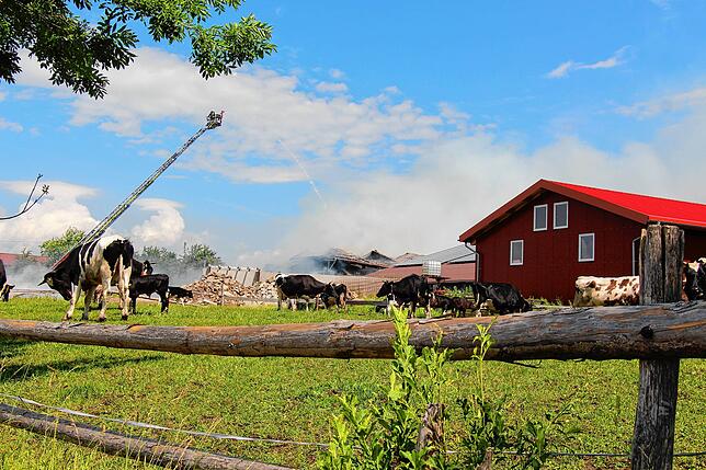 Bild 17: Großeinsatz für die Feuerwehren in Sumpfohren: Ein Gebäude des Hofs Bogenschütz brennt