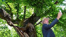 Alte Freunde: Der Grünen-Landtagsabgeordnete Martin Hahn spielte als Kind an und auf dem Baum – der Landwirt wuchs auf dem nahen ...