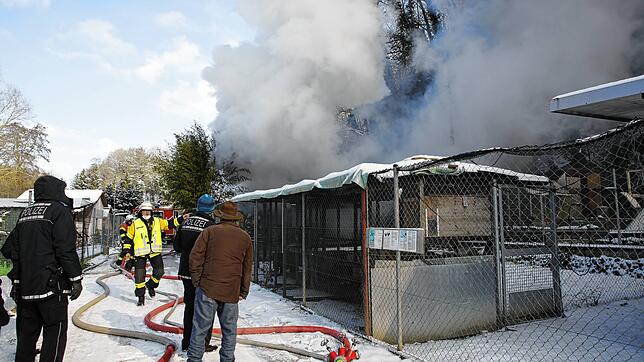 Eine Gartenhütte in der Gottmadinger Kleintierzuchtanlage wurde bei einem Feuer am Donnerstagnachmittag vollständig zerstört. Das dort ...