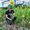 Florian Reyer zwischen Sonnenblumen, die auf seinem Acker nahe des Bodensees wachsen. Hier baut der Landwirt Kartoffeln an und will ...
