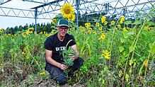 Florian Reyer zwischen Sonnenblumen, die auf seinem Acker nahe des Bodensees wachsen. Hier baut der Landwirt Kartoffeln an und will ...