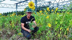 Florian Reyer zwischen Sonnenblumen, die auf seinem Acker nahe des Bodensees wachsen. Hier baut der Landwirt Kartoffeln an und will ...