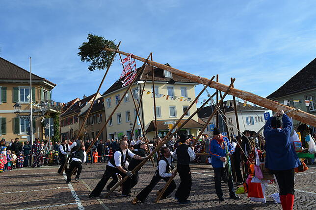 Bild 25: Bilder-Story: Rathaussturm und Narrenbaumsetzen der historischen Narrenzunft Markdorf