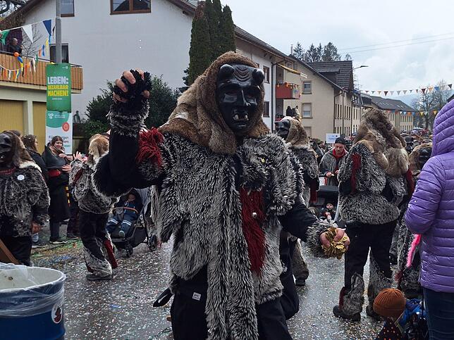 Bild 4: VHN-Narrentreffen 2025: Der große Umzug in Öflingen sorgt für jede Menge Spaß!