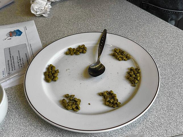 Es geht auch künstlerisch: Der Hopfen wird vorbereitet.