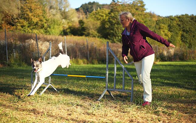 Bild 4: Gemeinsam in der Hundeschule: So üben Mensch und Tier zusammen auf dem Hindernisparcours