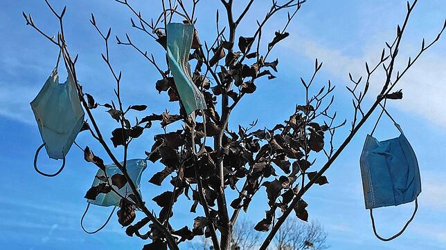 Der Maskenbaum zwischen Litzelstetten und der Mainau. Ein Hoffnungsschimmer am Corona-Horizont?