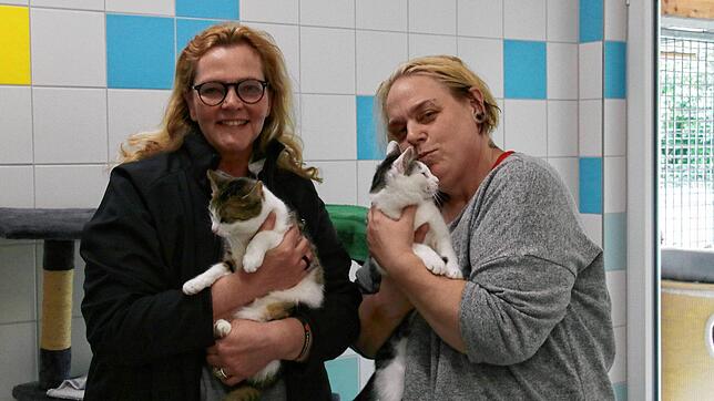 Julia Bierbach, die Leiterin des Tierschutzvereins (links), und Helferin Kerstin Abbad-Boulaajaj schmusen mit zwei Katzen. Doch so viel ...