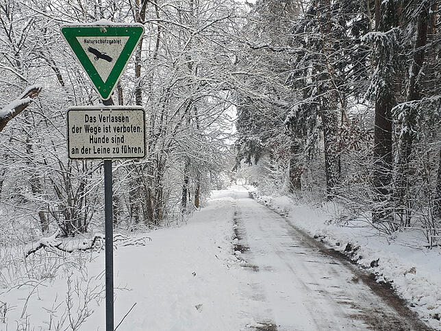 Bild 7: Winterimpressionen aus Villingen-Schwenningen und Umgebung